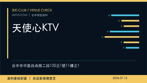 天使心KTV店家資料查核封面，非店家現場實景
